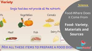 Class 6 Science Chapter 1 Food Where Does It Come From Food Variety Materials And Sources Youtube