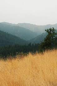 Via The Gifts Of Life Nature Photography Landscape Photography Landscape
