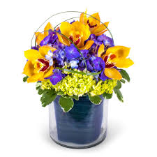 Maybe you would like to learn more about one of these? Cymbidium Garden Flower Delivery Bloomfield Ny Bloomer Floral Gifts