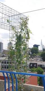 greenface het gs systeem tuin