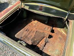 Image result for Ivy Green 1970 Satellite