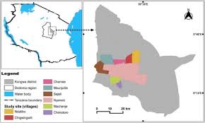 Image result for Astripomoea hyoscyamoides