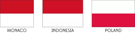 Just realised indonesia has he same flag as poland only upside down xddd funny though. Poland Flag Upside Down