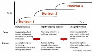 Innovation Risk And Return Horizons Uncertainty And The Teddy Bear Principle Innovation Fixer