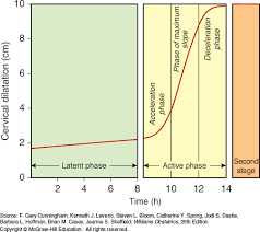 Normal Labor Williams Obstetrics 25e Accessmedicine