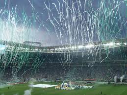 Up to 70% off top brands & styles. Palmeiras Imagens De Papel De Parede Wallpaper Fundo De Tela