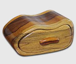 Image result for Terminalia superba