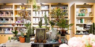 Truffaut Ouvre Son Premier Concept Store Urbain Decoration Interieure Stores Maison