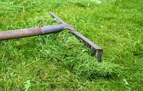 Check spelling or type a new query. Got A Lawn Use Your Grass Clippings For The Forces Of Good One Green Planet