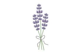 Free Free 125 National Flower Of Svg SVG PNG EPS DXF File