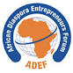 Africa Diaspora Entrepreneurs Forum: Canada event in Fredericton, NB