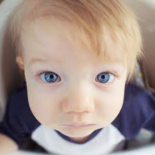 Frankie Foto » 2015 » January