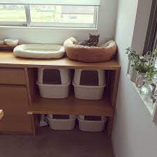 キッチン ねこのいる日常 猫 ねこばかりですいません 猫 トイレ などのインテリア実例 2017 05 23 19 54 34 roomclip ルームクリップ roomclipルームクリップ キッチンねこのいる日常猫ねこばかりですいません猫 トイレなど 猫 トイレ インテリア 家具