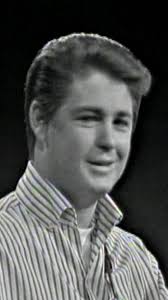 Brian Wilson Good Vibrations Movie Scene