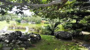 Jardin Botanico De Santo Domingo Plants Grapes