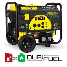 Current year credit for credits not allowed against tentative minimum tax (tmt). Champion Power Equipment 3800 Watt Dual Fuel Rv Ready Portable Generator With Electric Start 76533 At Tractor Supply Co