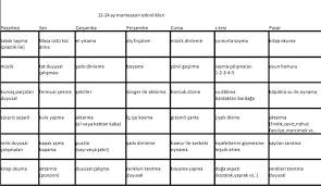 can ve cerenin oyun gunlugu 12 24 ay cocuklar icin montessori etkinlikleri montessori cocuk okul oncesi aktiviteler
