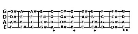 explained bass guitar notes fretboard radius and neck profile