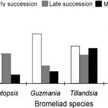 The opening sequence of the succession pilot saw logan waking up during the middle of the night in a discombobulated state and pissing in a. Percent Survival Of Epiphytic Bromeliad Seedlings After 24 Mo From Download Scientific Diagram