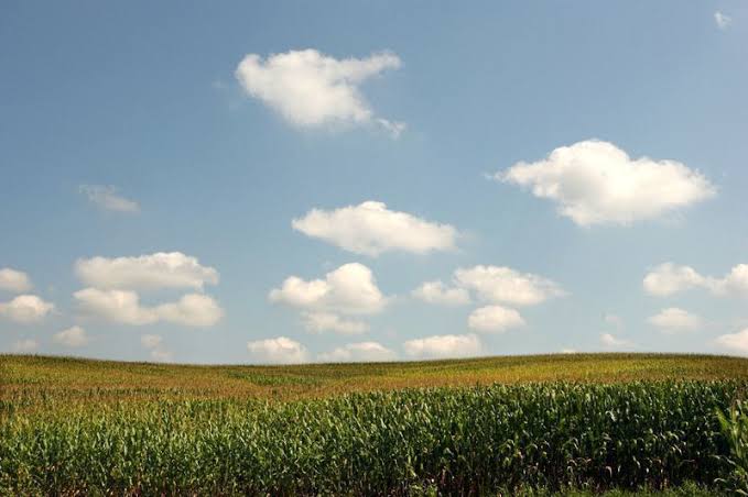CNA Reitera Importância de Ajuste Fiscal para Agronegócio