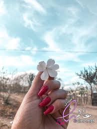 رمزيات يد ماسكة وردة حمراء جميلة. ÙˆØ±Ø¯ ÙƒÙŠÙˆØª ÙŠØ¯ Ù…Ø§Ø³ÙƒÙ‡ ÙˆØ±Ø¯Ù‡ Ø­Ù…Ø±Ø§Ø¡ ÙØªØ§Ø© ØªØ­Ù…Ù„ Ø¨Ø§Ù‚Ø© ÙˆØ±Ø¯ Ø¨Ù†Ø§Øª Ù…Ø­Ø¬Ø¨Ø§Øª Ø­Ø§Ù…Ù„ÙŠÙ† ÙˆØ±Ø¯ ÙŠØ¯ ØªØ­Ù…Ù„ ÙˆØ±Ø¯ Ù…Ù†ØªØ¯ÙŠ Ø¹Ø§Ù„Ù…Ùƒ