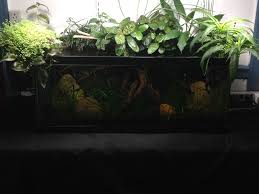Pin On Water Garden