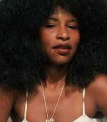 Who music do you prefer among Chaka Khan, Miki Howard, and Vesta?