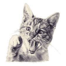 ▷ 1001 + idee per disegni a matita facili e molto belli. La Matita Disegnamo