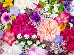 Shop seeds, plants and gardening supplies for home gardens. The Most Beautiful Flowers You Can Plant In Your Garden