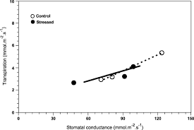 Highland park bigtooth maple has dark green foliage throughout the season. Relationship Between Transpiration Rate And Stomatal Conductance G S Download Scientific Diagram