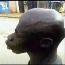 With selena lee, kent cheng, ken tong. Reactionmemes4u On Twitter Dr Umar I Bet Your Pardon Meme Instagram Live