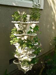 Hydroponic Herb Garden Herb Garden In Kitchen Hydroponic Herb Garden Hydroponics