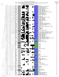 Ekskluzivno samo na happy bsc portalu: Viruses Free Full Text Characterization Of Salmonella Isolates From Various Geographical Regions Of The Caucasus And Their Susceptibility To Bacteriophages Html