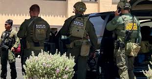 How did President's Trump language influence the El Paso shooter's  manifesto? - Principally Uncertain