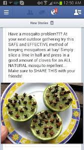 Mosquito Repellent Natural Bug Repellent Mosquito Mosquito Repellent