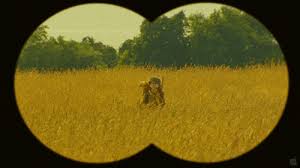 After you created a gif, you can crop, resize, rotate and compress this animated gif file( or any other jpeg, png and bmp images ) at. Binoculars Gifs Primo Gif Latest Animated Gifs