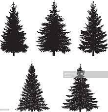 Vector Illustration Of Pine Tree Tree Doodle Vector Illustration Illustration