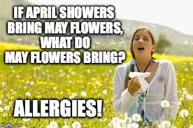 If april showers bring may flowers what do mayflowers bring. Seasonal Allergies Imgflip