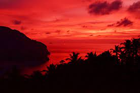 Check out amazing red_aesthetic artwork on deviantart. Sunset Sky Tree Dusk Landscape Hd Nature 4k Wallpapers Images Backgrounds Photos And Pictures