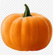 Download Realistic Pumpkin Png Images Background Toppng | # pumpkin png & psd images. download realistic pumpkin png images