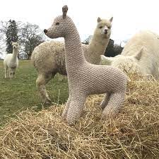We did not find results for: Alpaca Knitting Kit Alpacaly Ever After