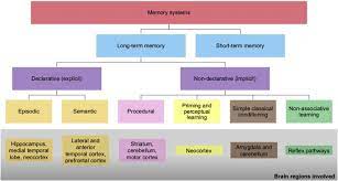 Sudden inability to recall important personal information that is too extensive to be explained by ordinary forgetfulness. Acute Amnestic Syndromes Journal Of The Neurological Sciences