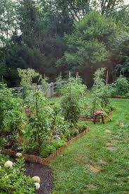 Lauren Liess Kitchen Garden Via Pure Style Home The Fielding Report Garden Planning Kitchen Garden Vegetable Garden Design
