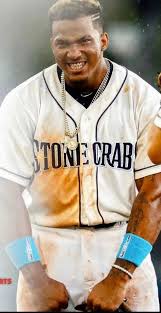 He signed with the tampa bay rays on july 2, 2017. Happy 19th Birthday Wander Franco Tampabayrays