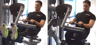 It exercises the hamstrings and glutes. Seated Leg Curl Exercise Technique Common Mistakes Myprotein