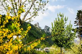 Alternatively, the schloss mönchstein hotel is situated 6 miles (10 kilometers) away. Die Vielfaltige Stadte Geheimtipp Hallein Bei Salzburg Vormagazin