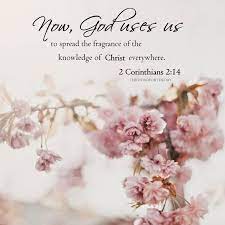 Pin On God Quote
