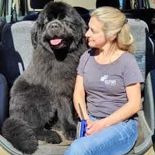 Hundesalon Annett Vonhof