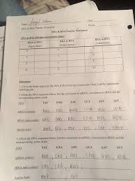 Matches mrna codon to add correct amino acids during protein synthesis. Solved Name Jamyah Adams Date Dna Amp Rna Practice Worksheet Period Dna Amp Rna Practice Worksheet Llo Or W Dna Amp Rna Pairing Conversation Course Hero