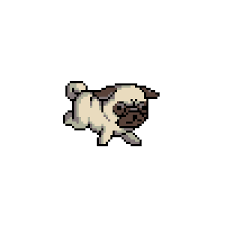 Discover Share This Transparent Gif With Everyone You Know Giphy Is How You Search Share Discover And Create Gifs Pixel Animation Pixel Art Pug Art